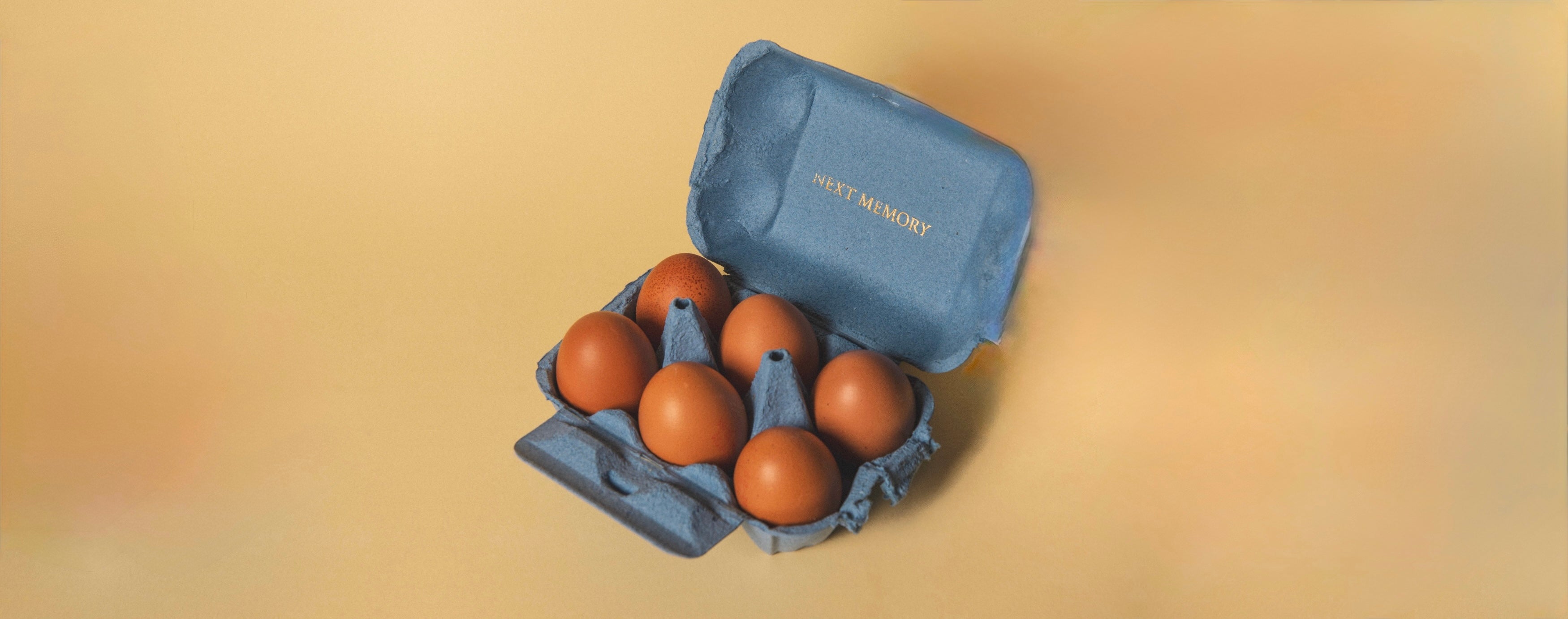 Shop All - NEXT MEMORY