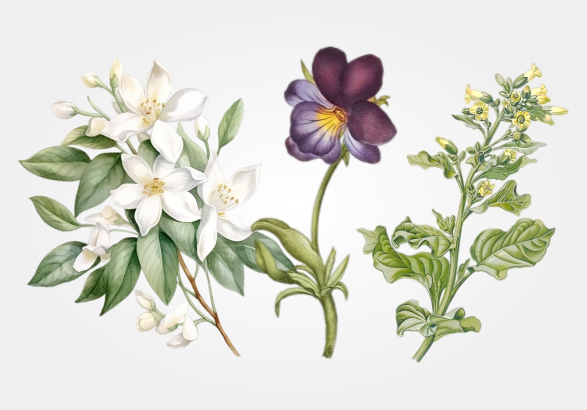 beige jasmin over leather scented candle mood