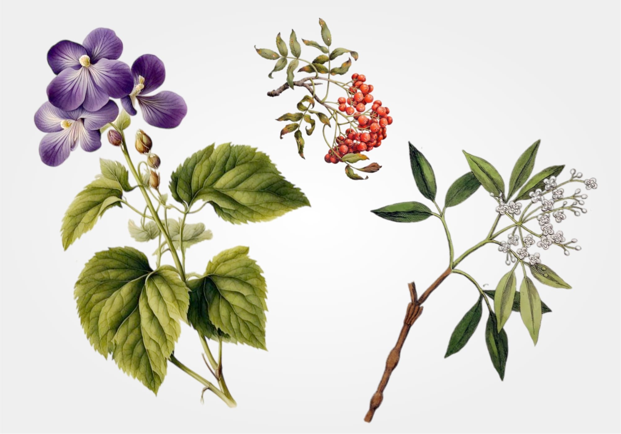 blue violet over sandal scented candle