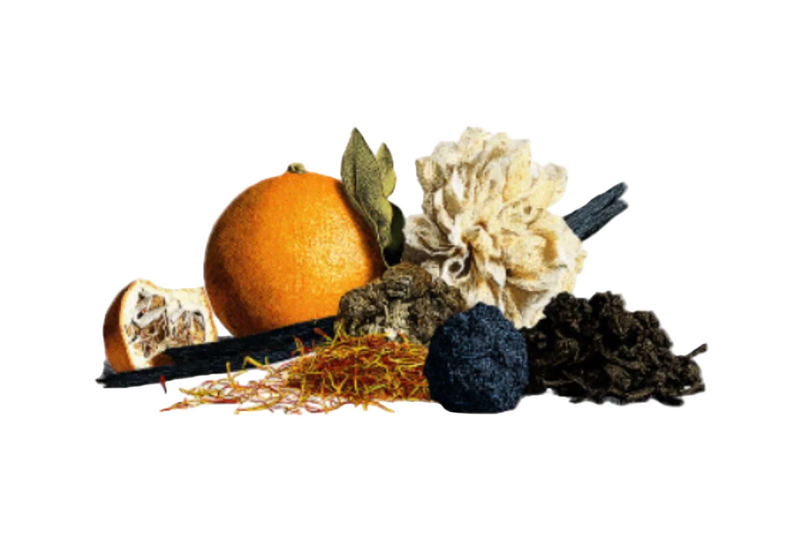 engram olfactory notes