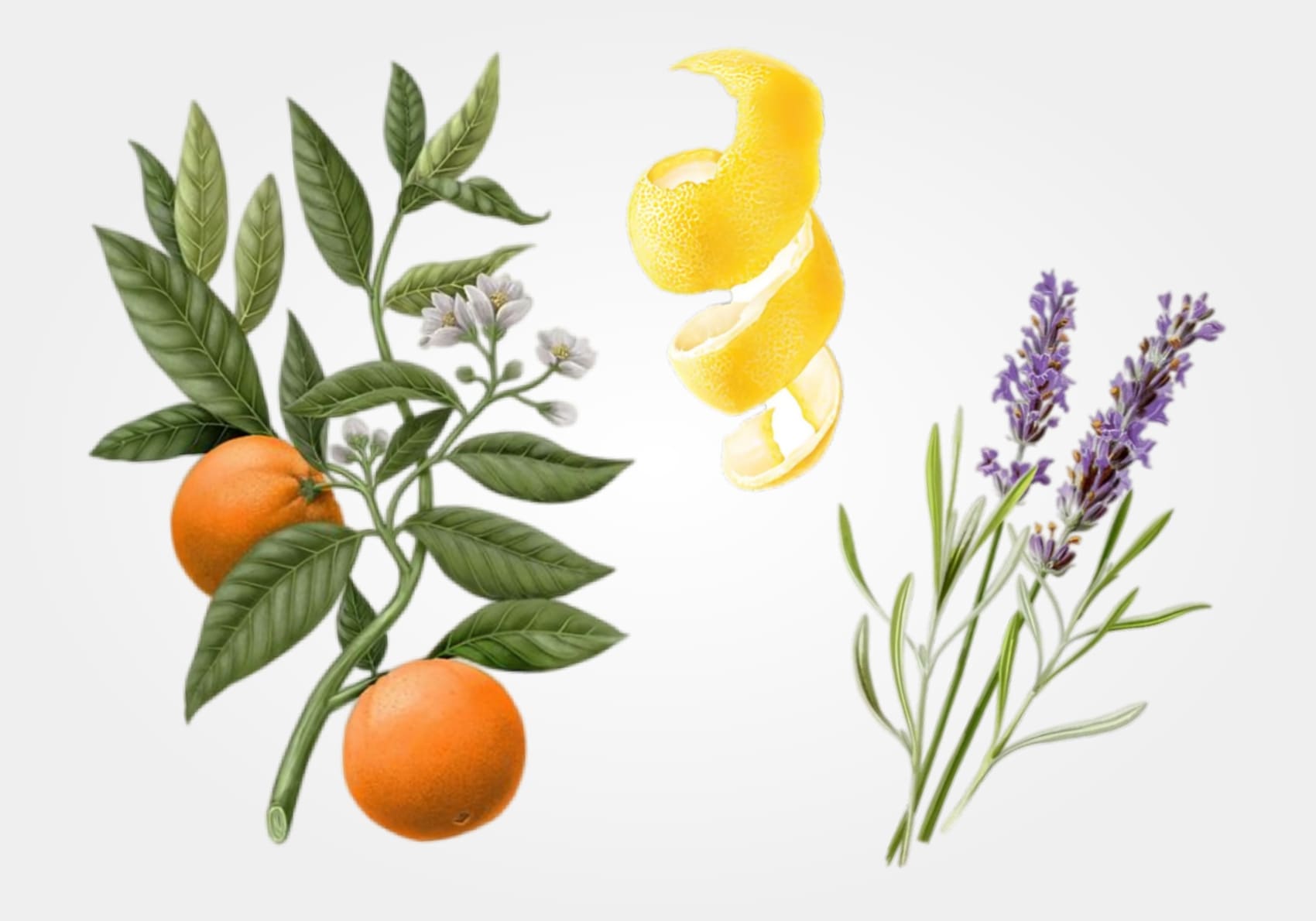 Pink_Lemon_Over_Orange_Bag_Mood