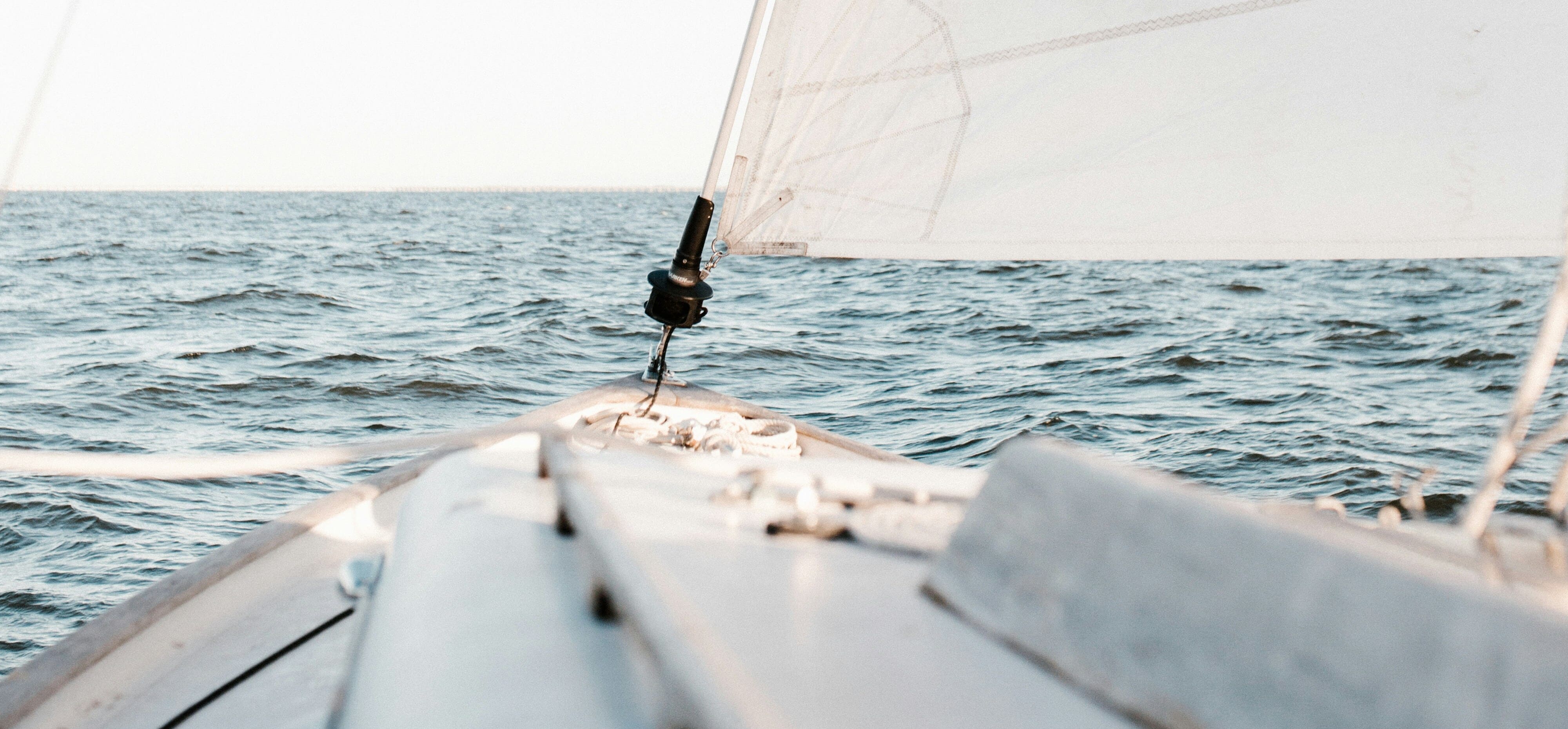 white cardamom breeze