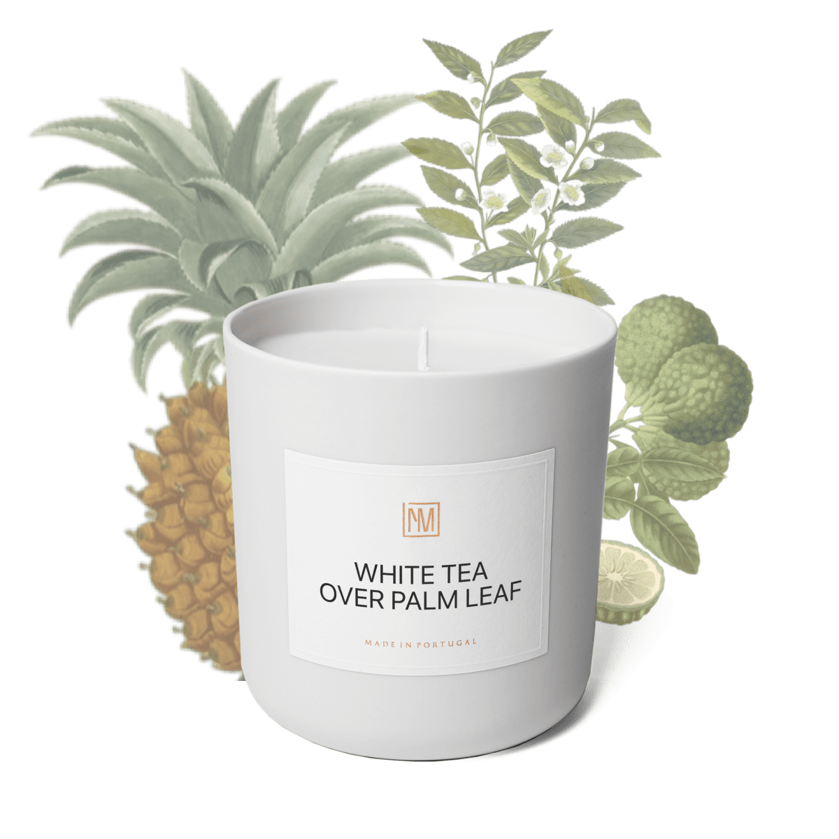 White Tea over Palm Leaf Scented Candle