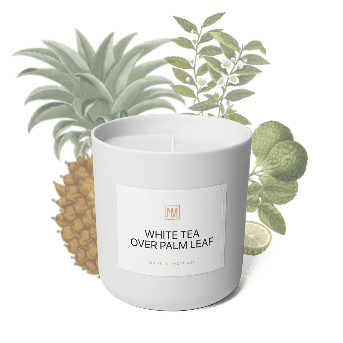 White Tea over Palm Leaf Scented Candle - NEXT MEMORY__Fruity